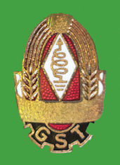 Pin GST - Antigua R.D. Alemana