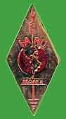 Pin IARU-Reg II-Dorado